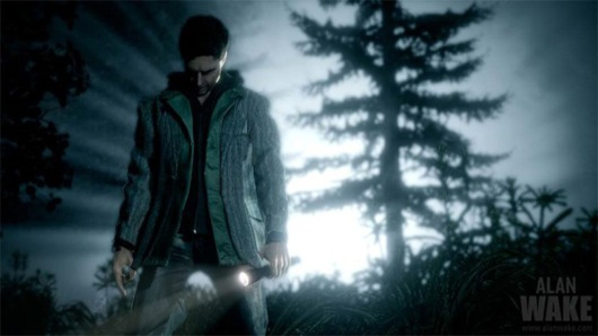 Alan Wake: The Writer
