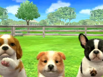 Mascotas de Nintendogs Mascotas de Nintendogs