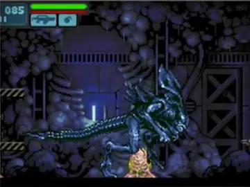 Aliens: Infestation Aliens: Infestation