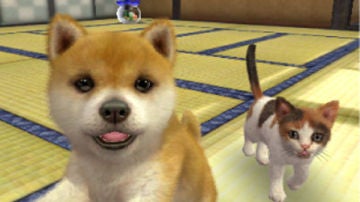 Nintendogs + Cats