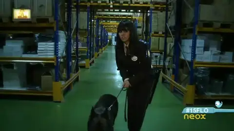 00071 00071