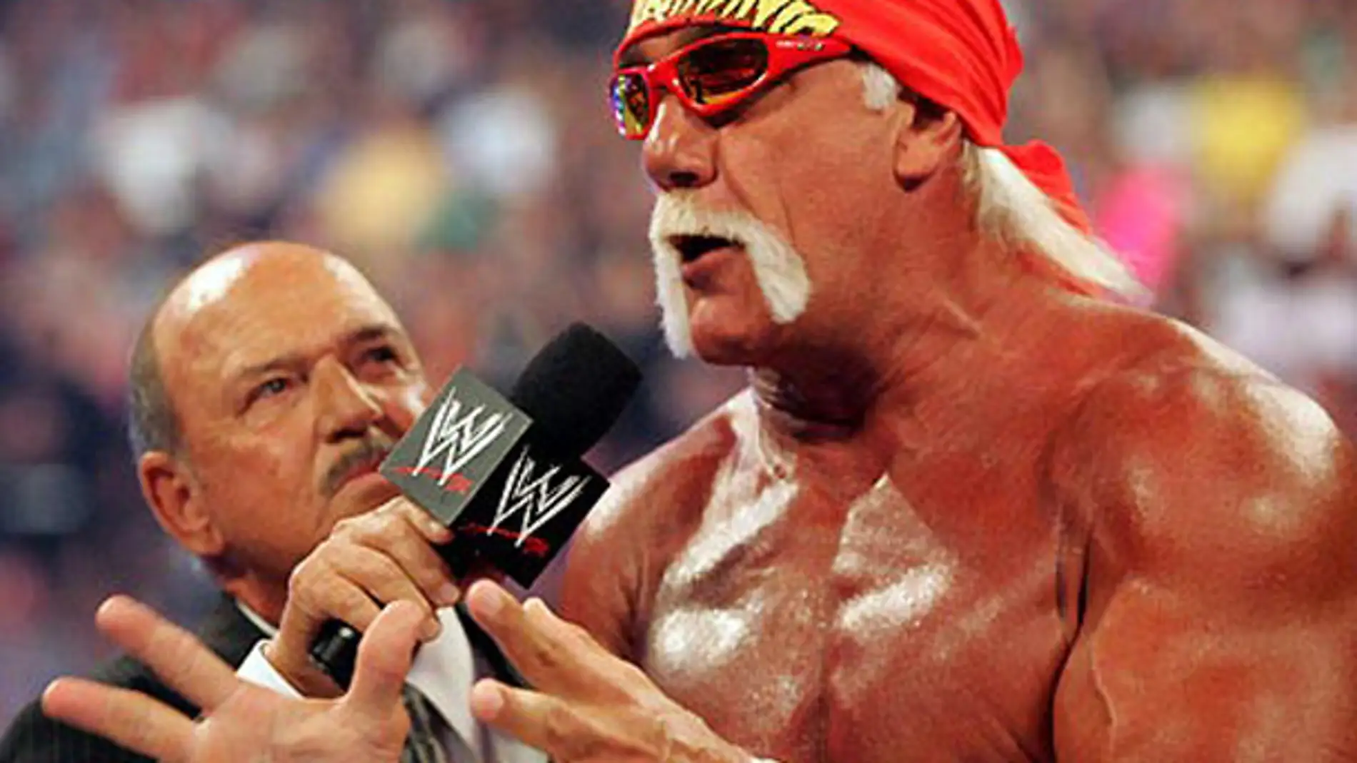 Hulk Hogan