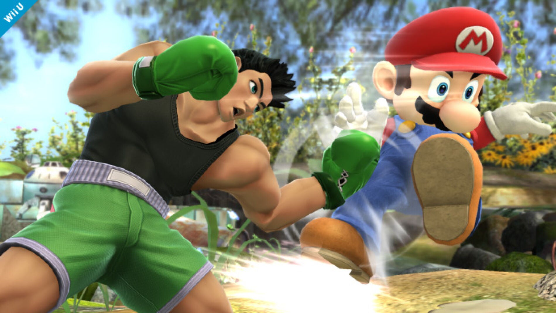 Super Smash Bros. for Wii U / 3DS