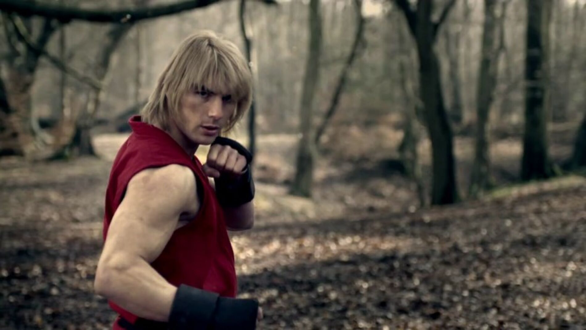 Street Fighter: Assassin's Fist