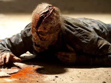 The walking dead The walking dead