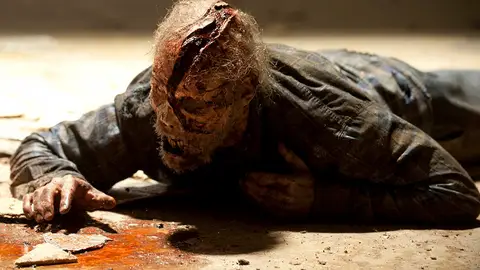 The walking dead The walking dead