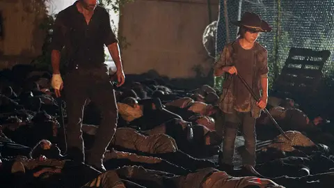 The Walking Dead The Walking Dead