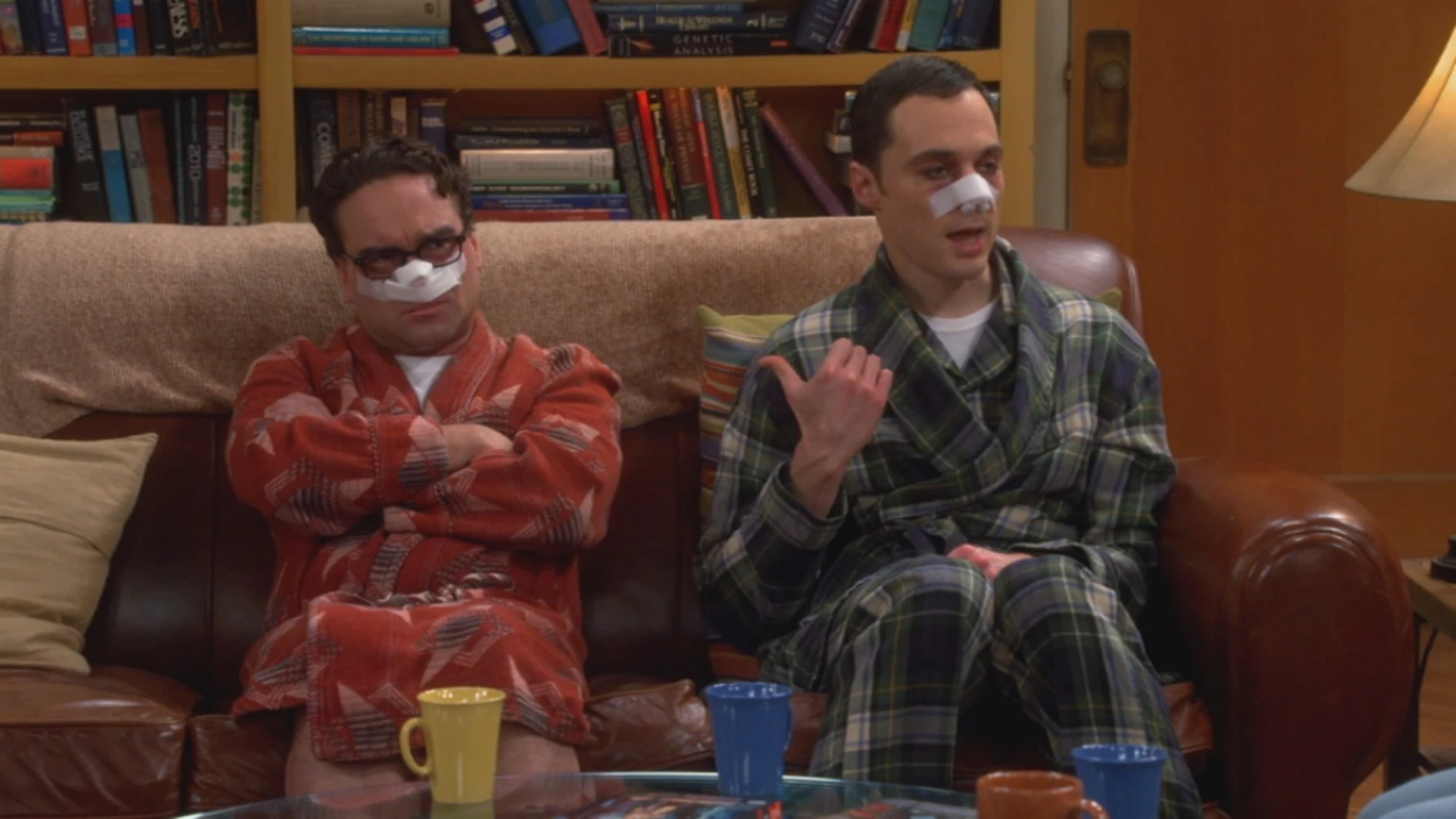 Operados de la nariz, The Big Bang Theory