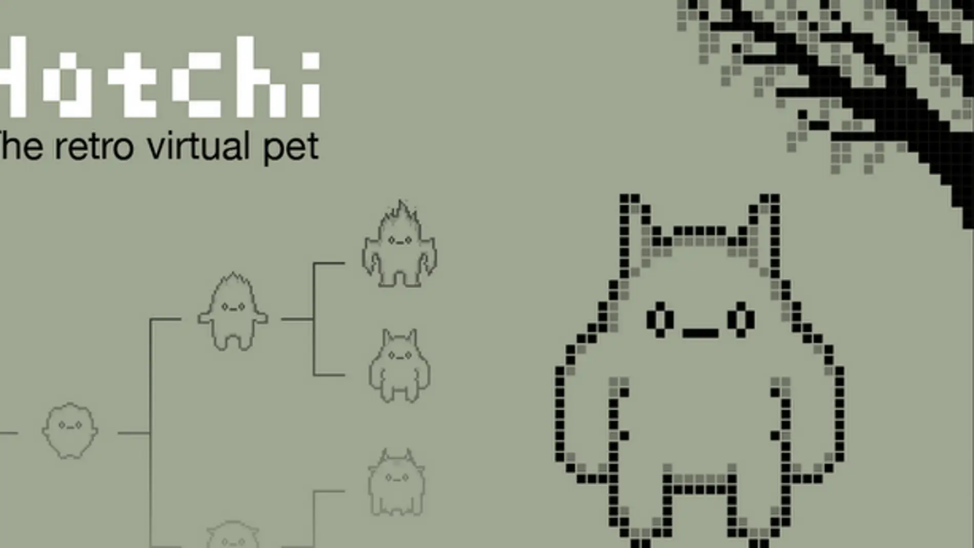 Hatchi
