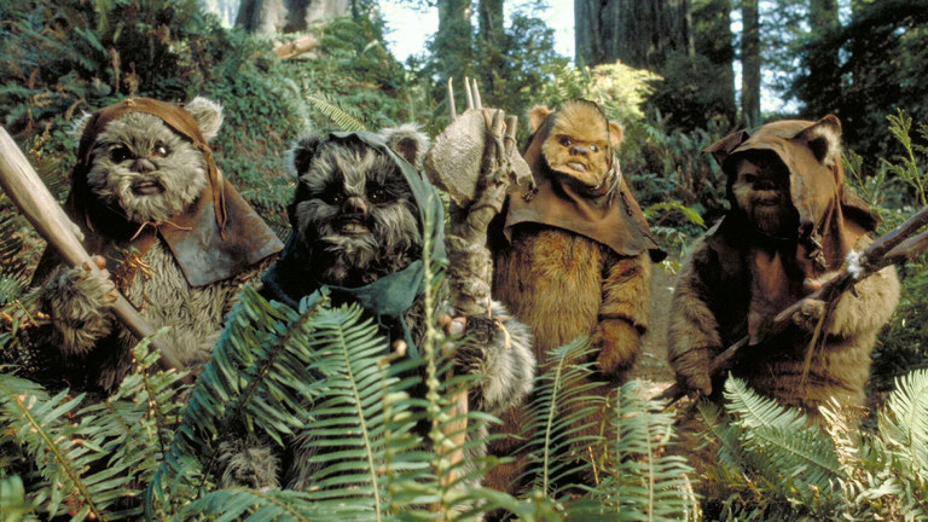 Ewoks