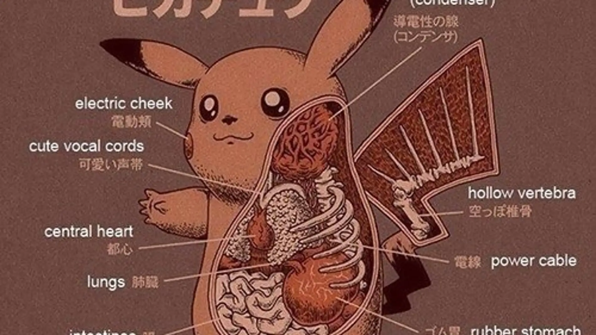 Pikachu por dentro