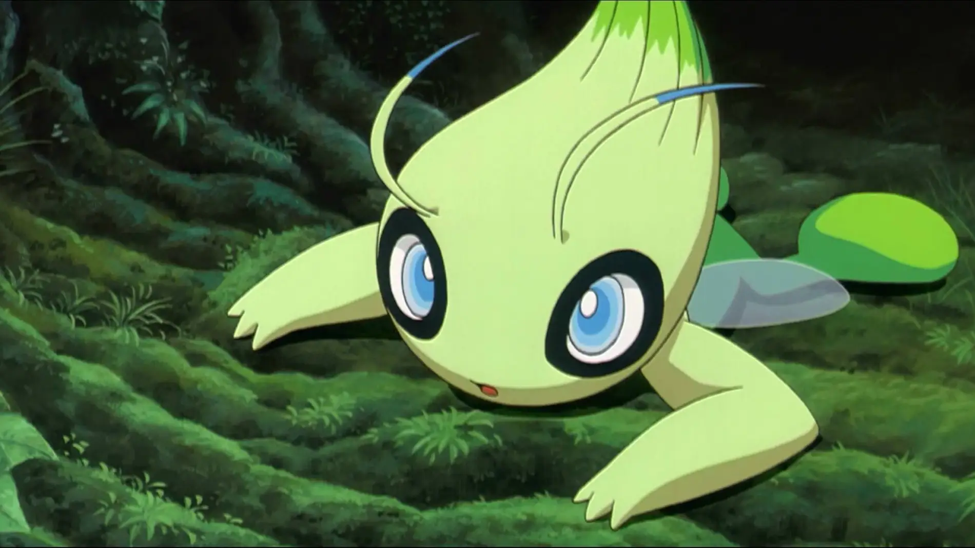 Celebi