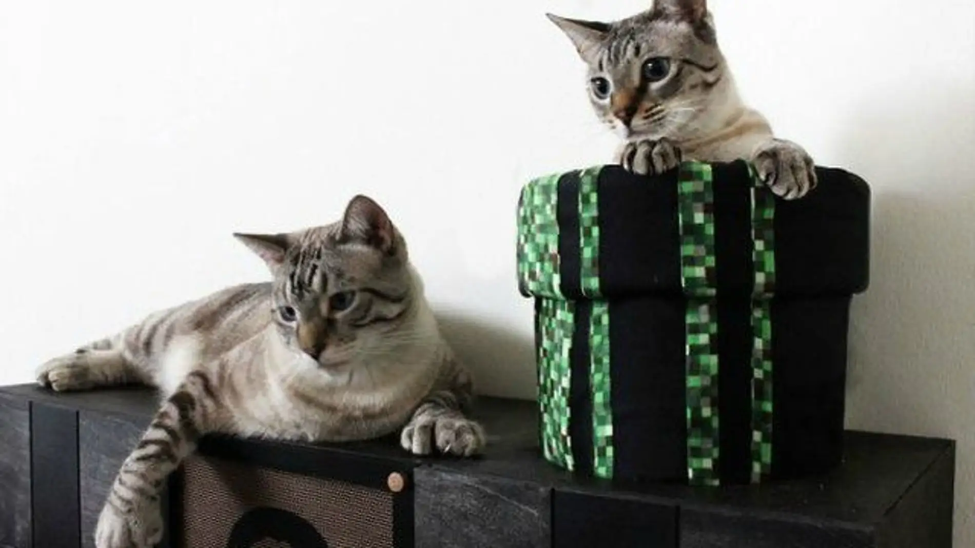 Muebles felinos de Super Mario