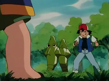 Combate Metapod Combate Metapod