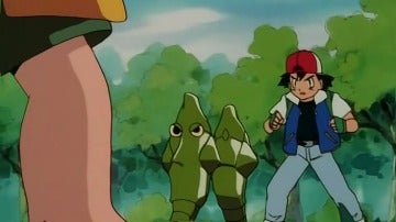 Combate Metapod