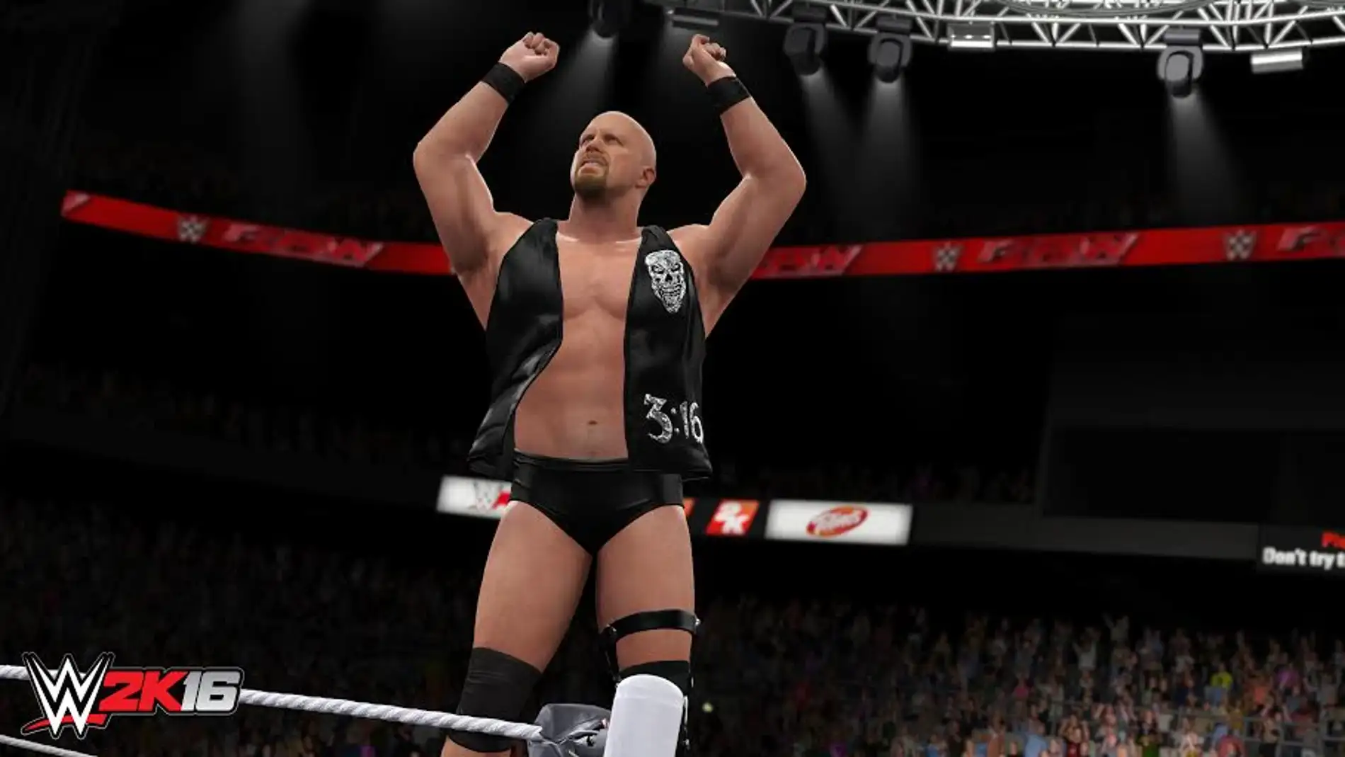 Stone Cold Austin