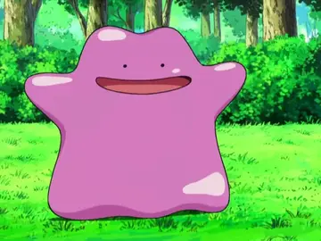Ditto Ditto