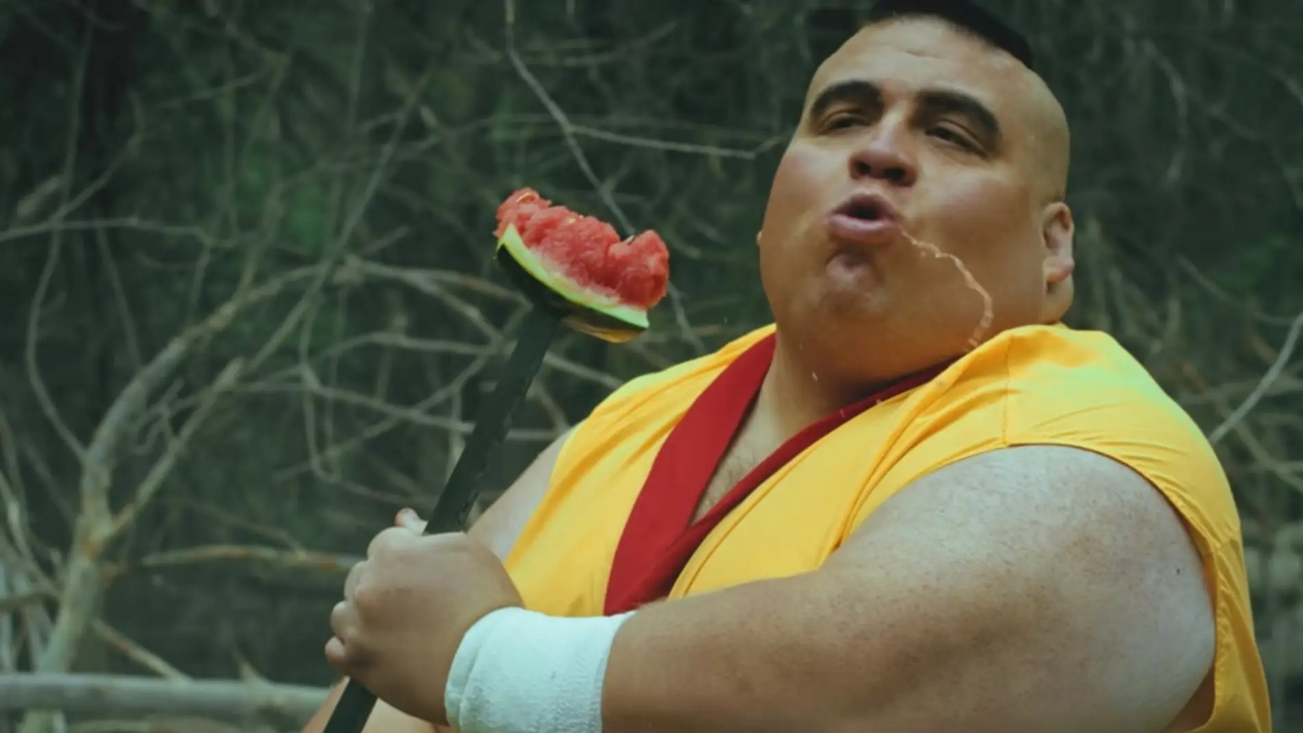 Fotograma del vídeo