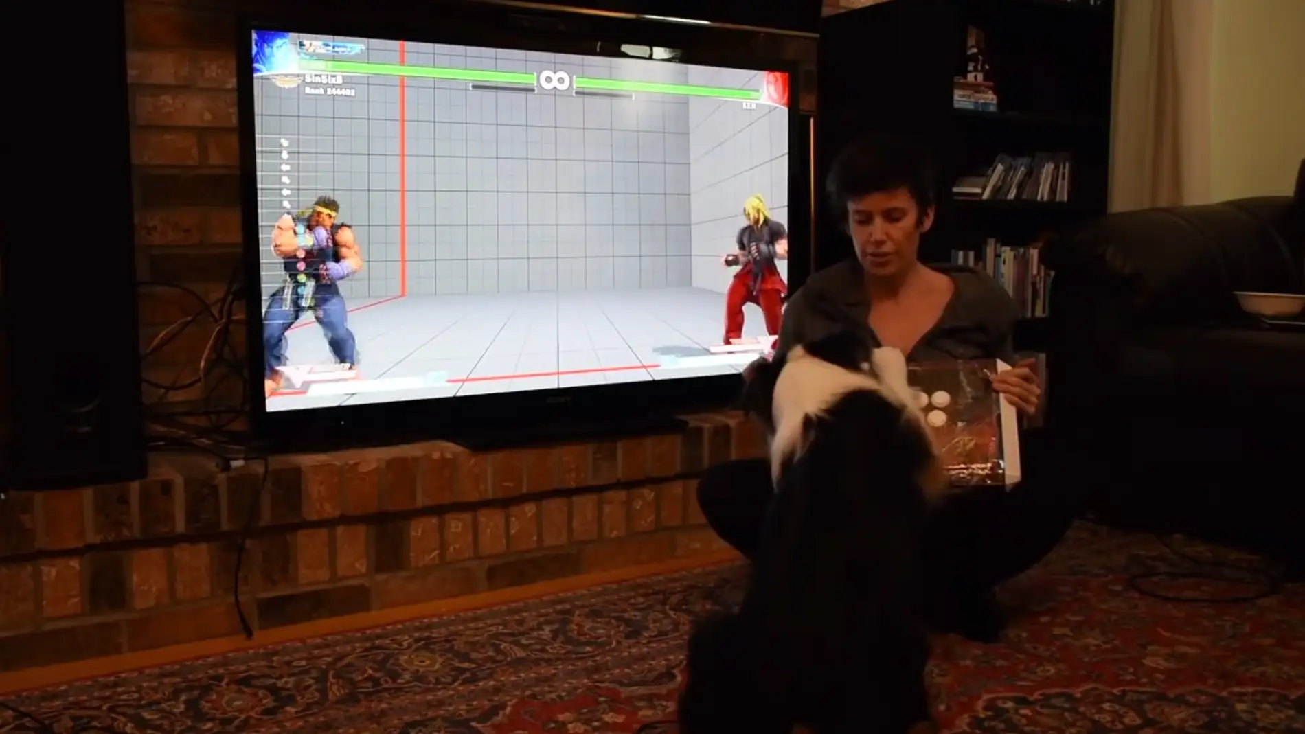Perro en Street Fighter V