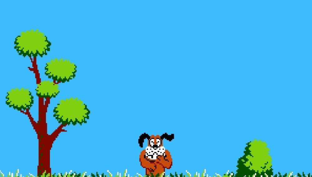 Duck Hunt