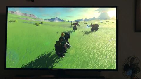 The Legend of Zelda: Breath of the Wild para NX