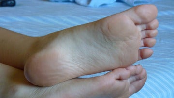 Pies