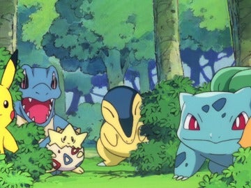 Pokémon de primera y segunda generación