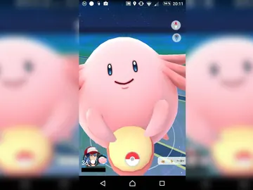 Chansey en Pokémon GO Chansey en Pokémon GO