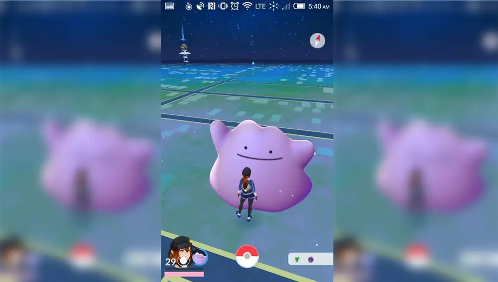 Ditto en Pokémon GO