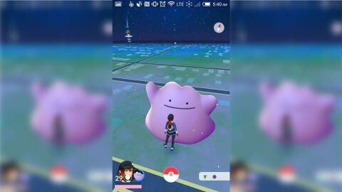 Ditto en Pokémon GO
