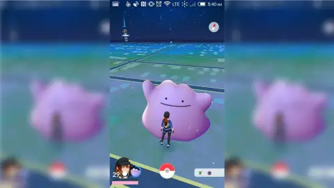 Ditto en Pokémon GO Ditto en Pokémon GO