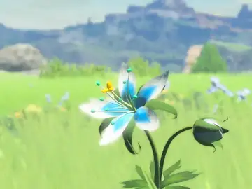 The Legend of Zelda: Breath of the Wild The Legend of Zelda: Breath of the Wild