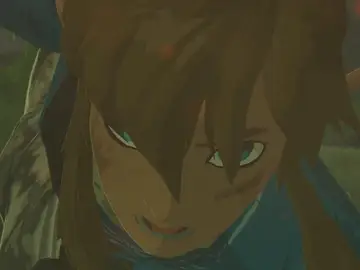 The Legend of Zelda: Breath of the Wild The Legend of Zelda: Breath of the Wild