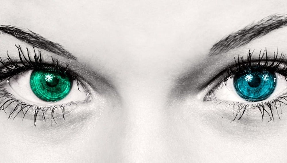 Ojos