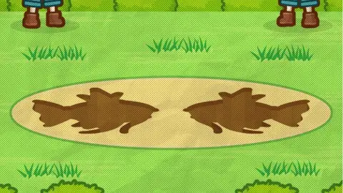 Splash! Magikarp Splash! Magikarp