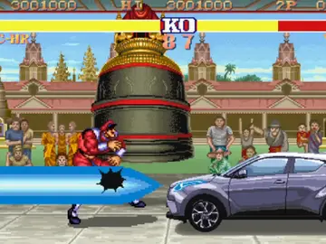 Bison contra CH-R Bison contra CH-R