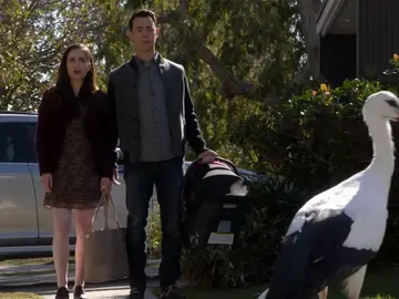 Frame 52.331922 de: Si aparece una cigüeña en tu casa, ¿es una señal para tener un bebé? Frame 52.331922 de: Si aparece una cigüeña en tu casa, ¿es una señal para tener un bebé?