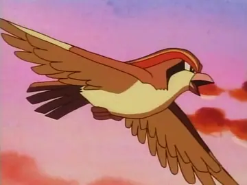 Pidgeot Pidgeot