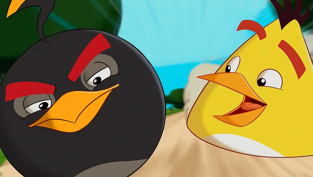 Angry birds - Corre chuck corre