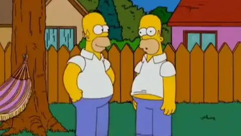 Homer Simpson y su doble Homer Simpson y su doble