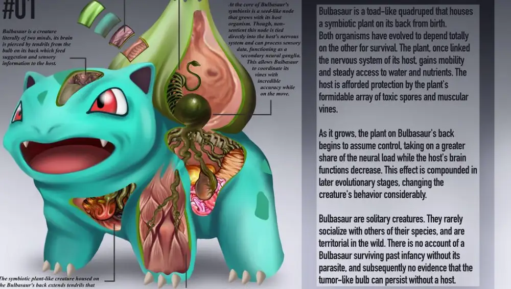 Así es 'PokéNatomy': la enciclopedia que descubre la anatomía de los pokémon, Actualidad