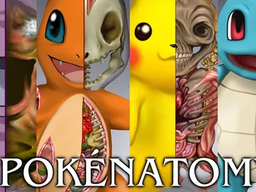 PokéNatomy PokéNatomy