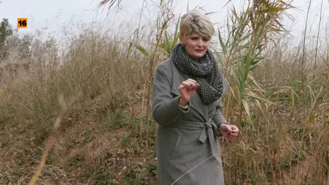 Gloria Serra: "¿Me financian las mafias rusas?" Gloria Serra: "¿Me financian las mafias rusas?"