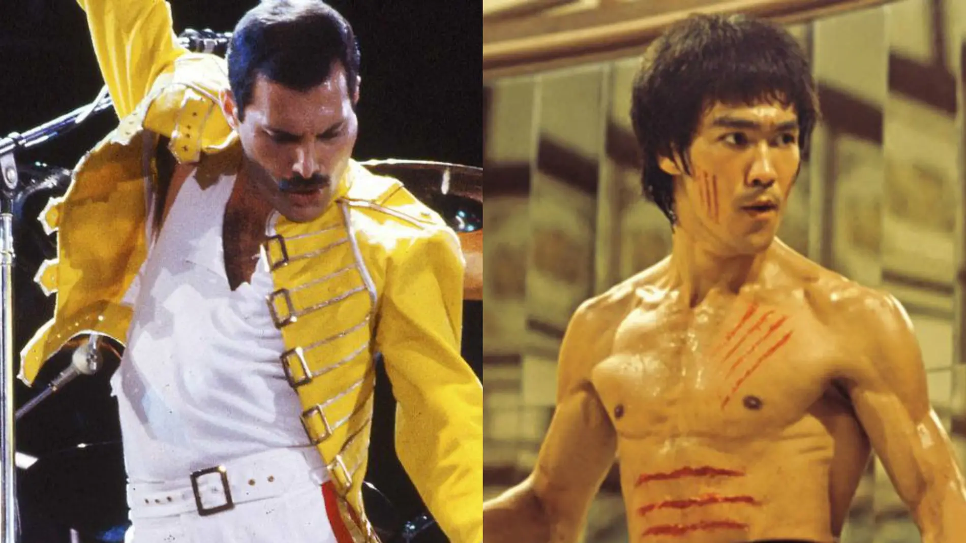 Freddie Mercury y Bruce Lee