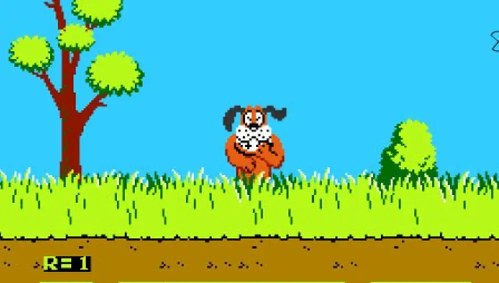 Duck Hunt
