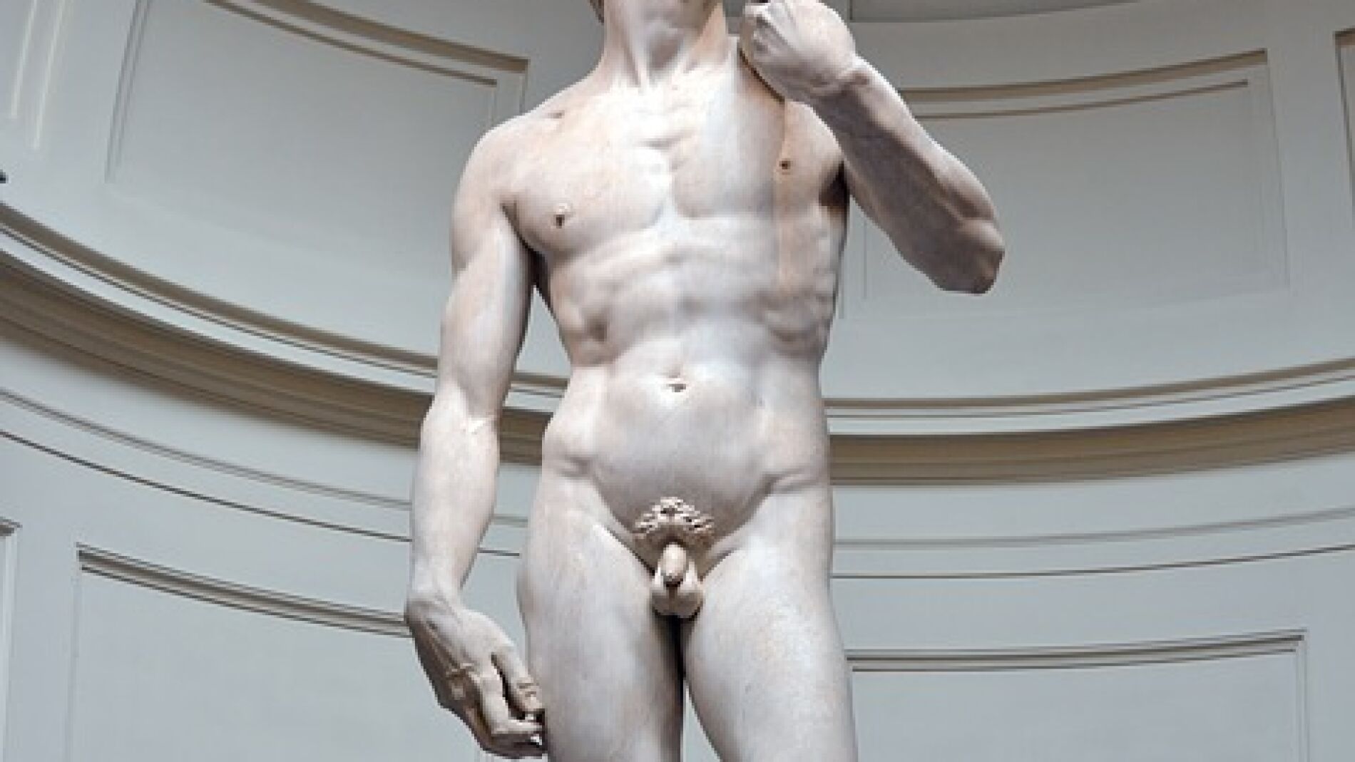 David de Miguel Ángel