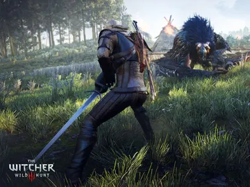 The Witcher 3 The Witcher 3