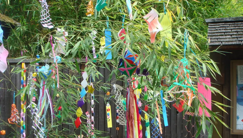 Tanzaku o deseos en el festival de Tanabata