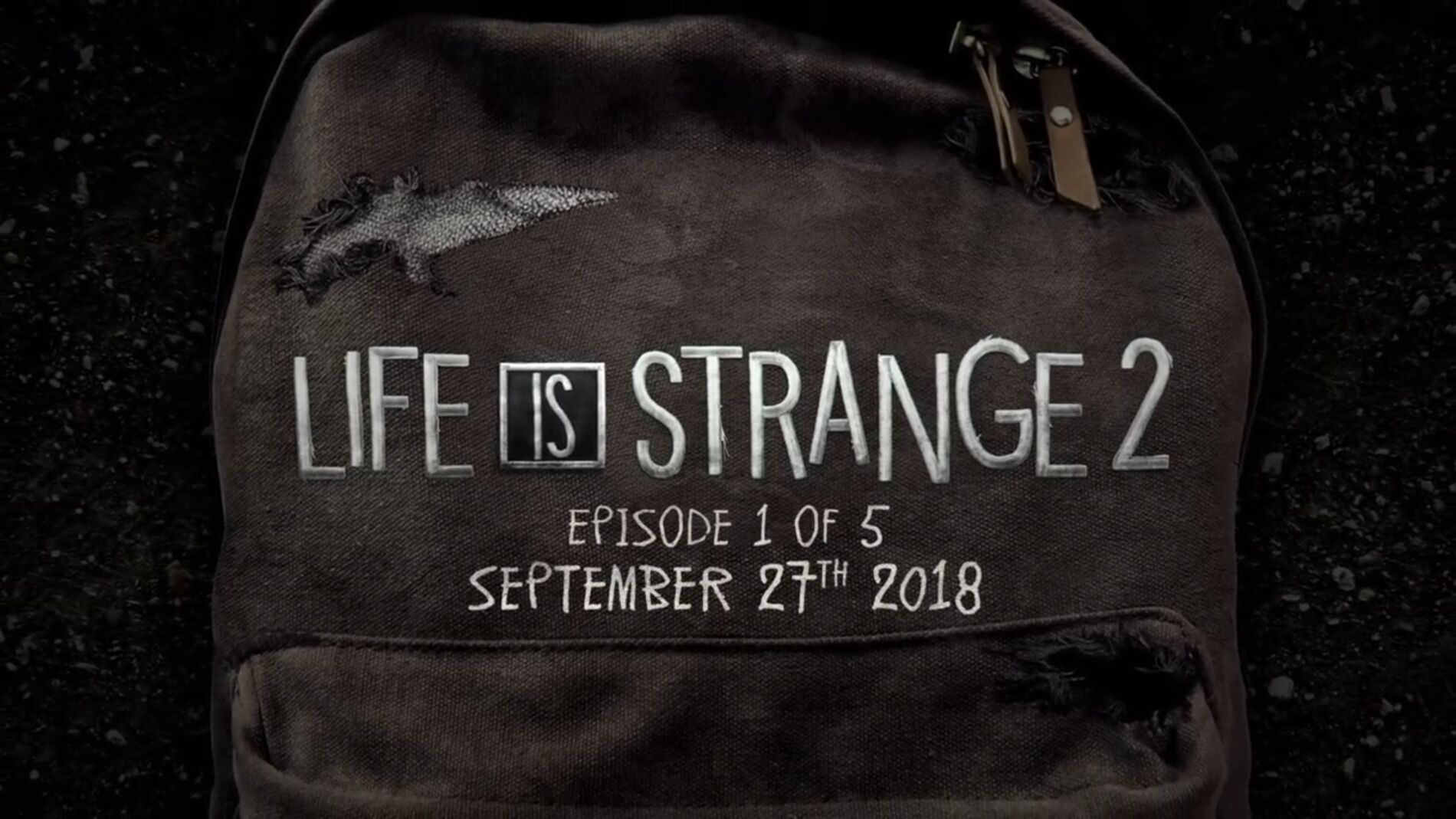 Life is Strange 2