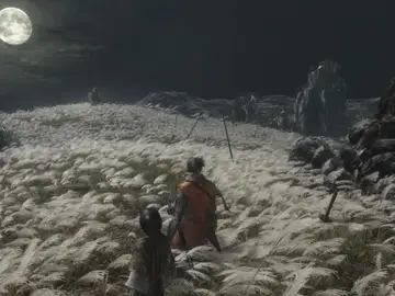 Sekiro: Shadows Die Twice Sekiro: Shadows Die Twice